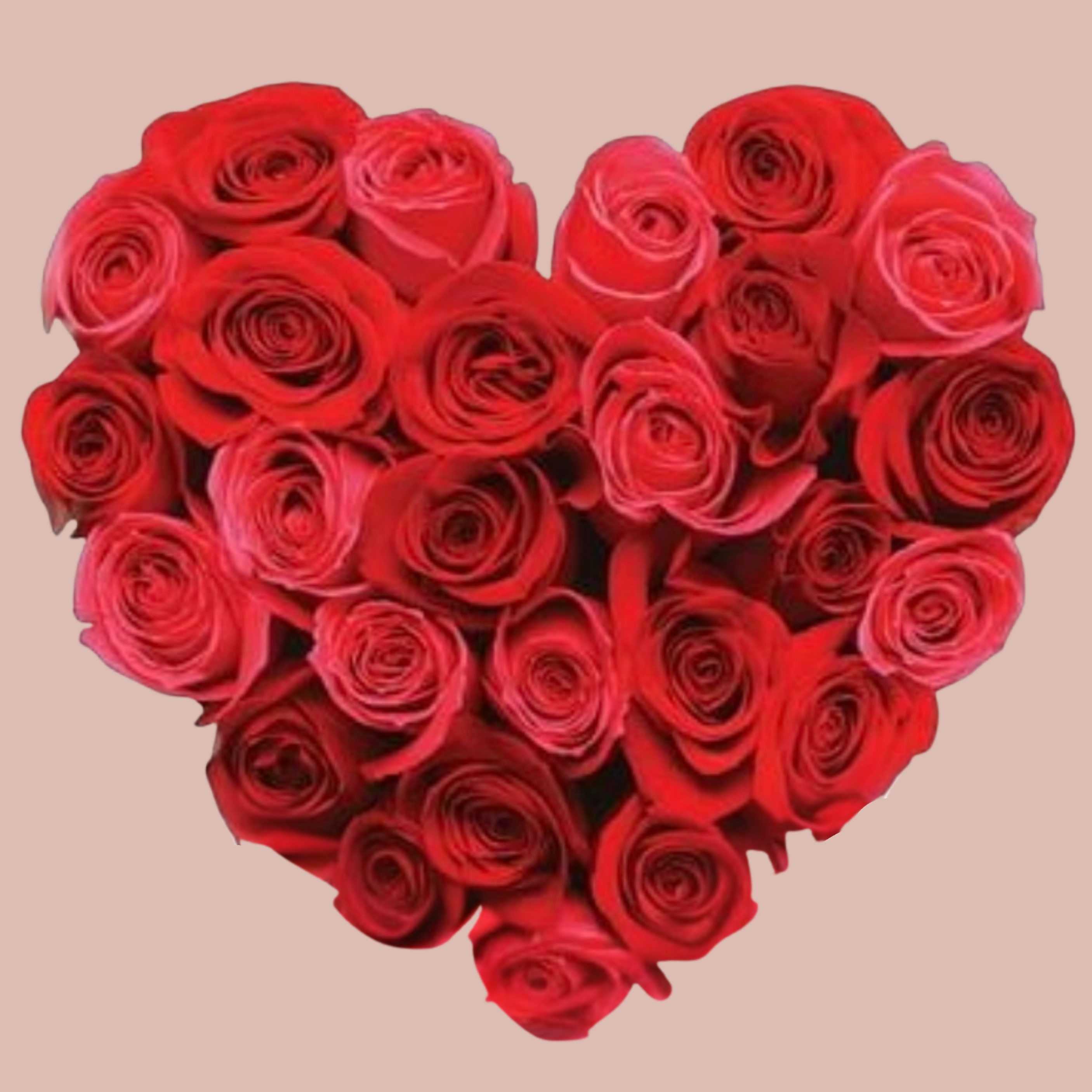 Heart Shaped Roses 12 inch