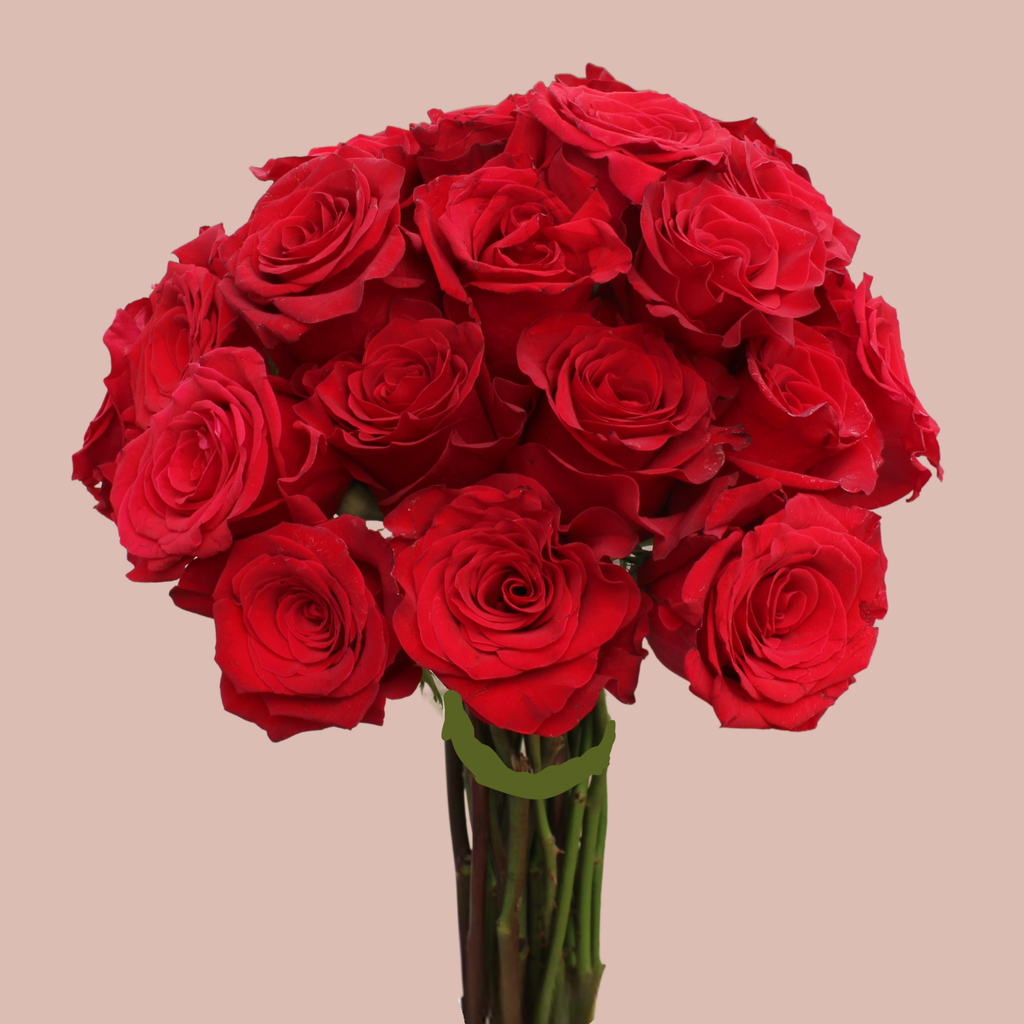 24 Red Roses